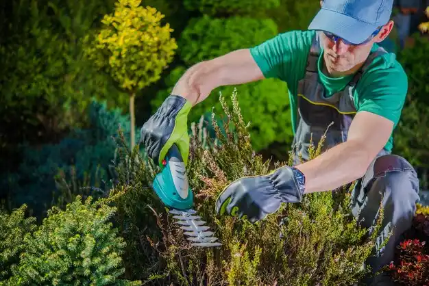 landscaping services East Falmouth